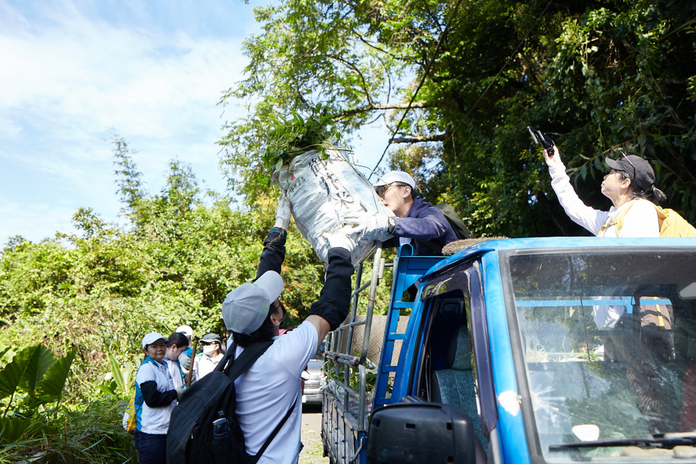 友達串聯志工組成水環境巡守隊，針對霄裡溪沿岸3公里的小花蔓澤蘭，定期進行移除與防治工作
